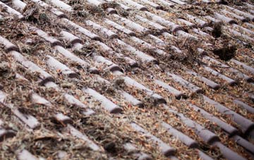 Diptford roof cleaning companies