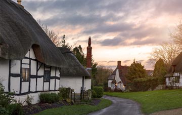 is Diptford thatch roofing popular